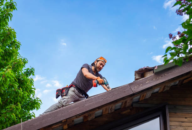 Best Asphalt Shingles Roofing  in Dovesville, SC