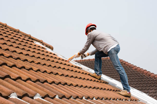Best Roofing for New Construction  in Dovesville, SC