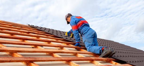 Best Gutter Installation and Repair  in Dovesville, SC