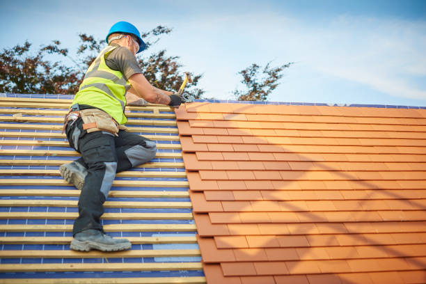 Best Cold Roofs  in Dovesville, SC